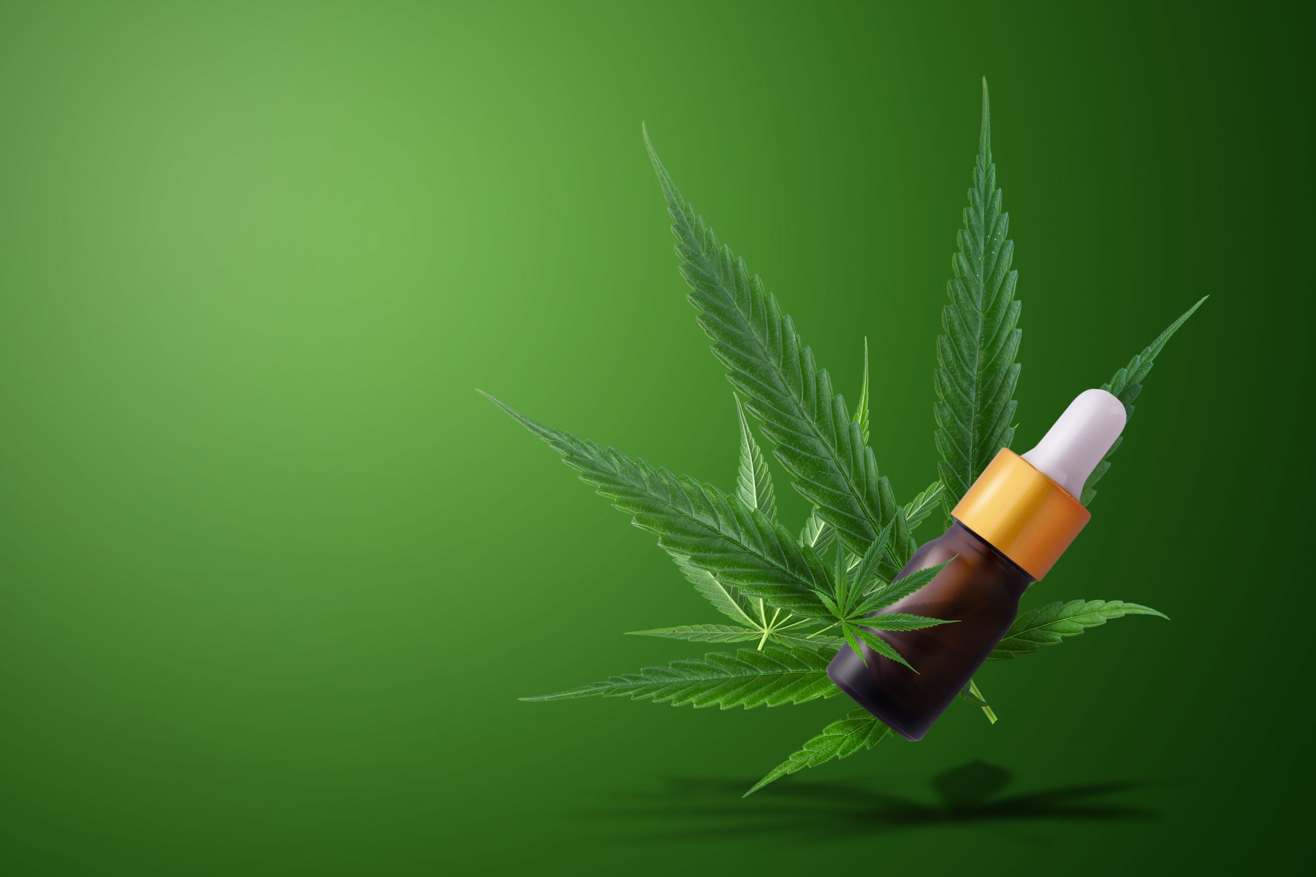 Découvrez comment consommer des fleurs de CBD