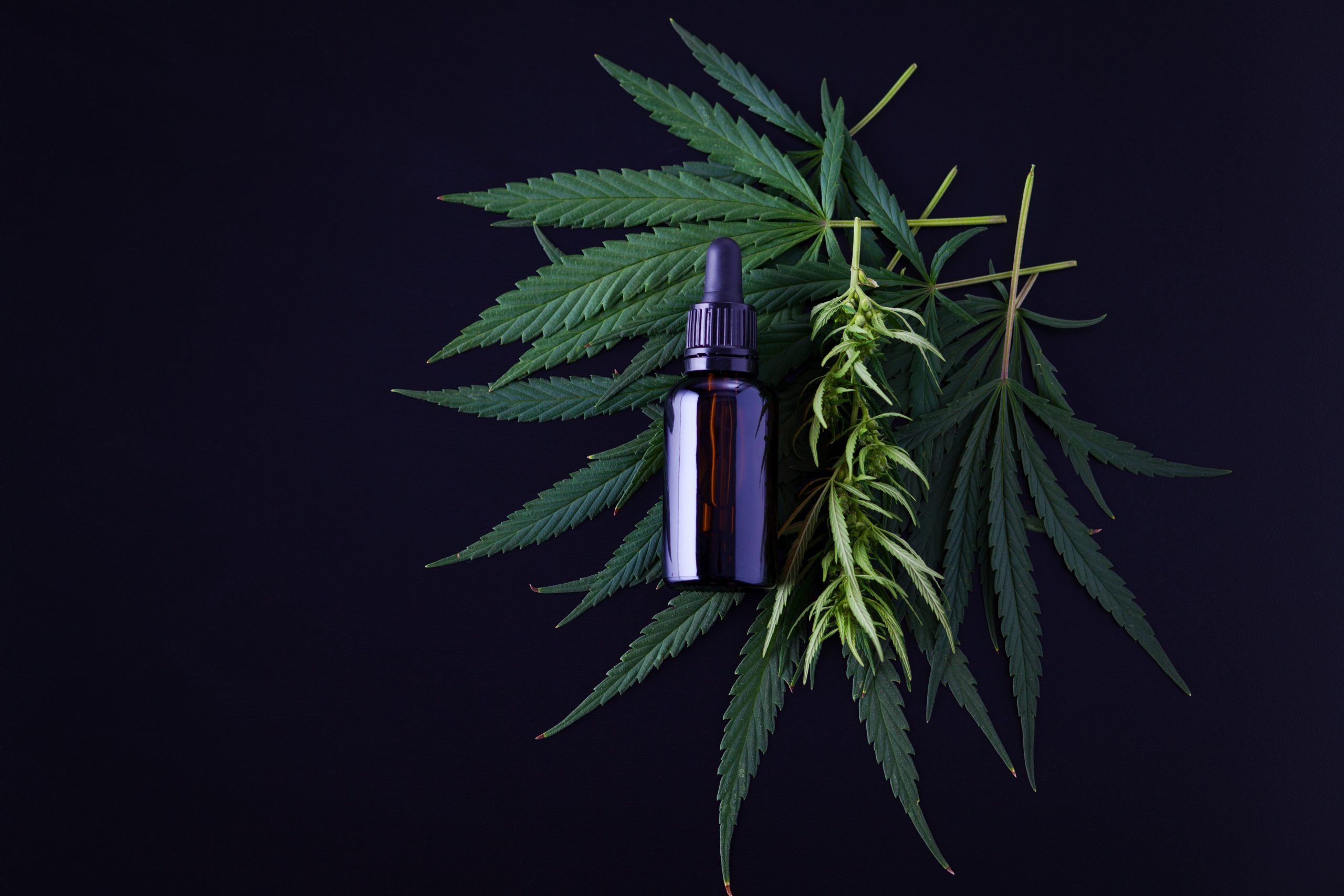 Où acheter une tisane au CBD pour dormir ?