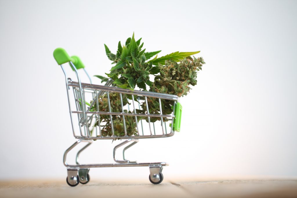 Tout ce qu’il faut savoir sur le CBD bio !