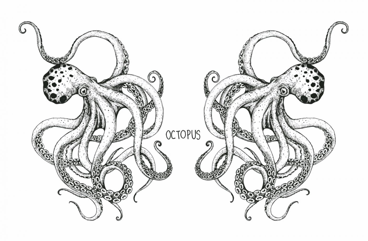 Tatouages